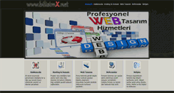 Desktop Screenshot of bilisimx.net